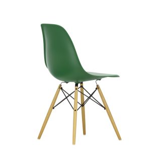 dsw10.jpg