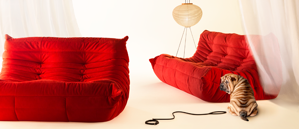 Ligne Roset