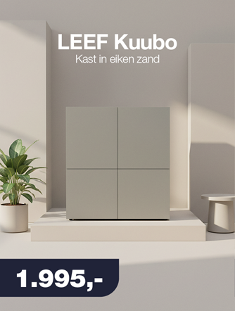 LEEF Kuubo kast