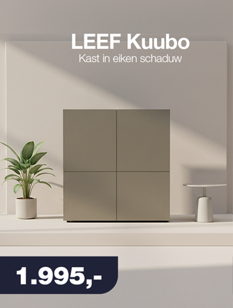 LEEF Kuubo kast